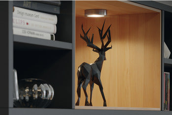 12 V Loox LED 2047 Recess mounted light/surface mounted downlight, round