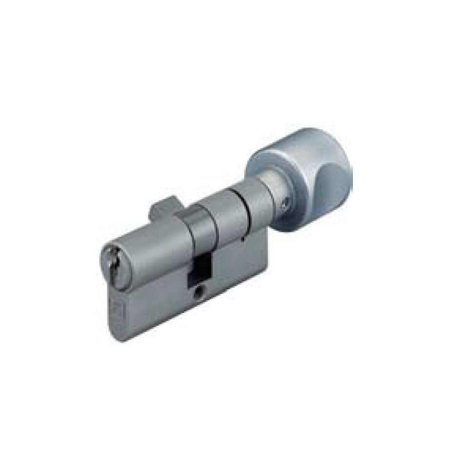 Profile cylinder with thumbturn
