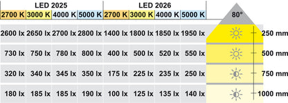 12 V Loox LED 2025/2026 Recess mounted light/surface mounted downlight, modular